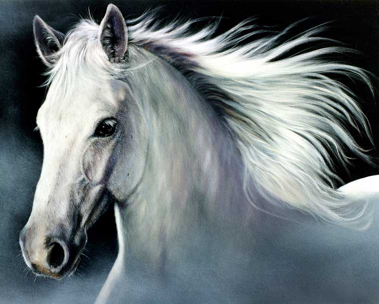 White Horse